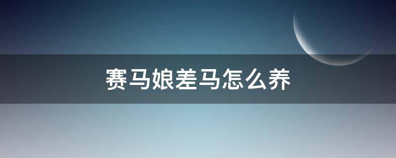 赛马娘差马怎么养 赛马娘如何养马