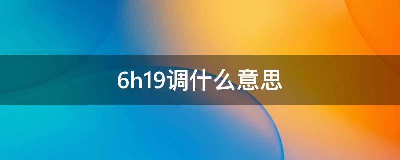 6h19调什么意思（19调6H什么意思）