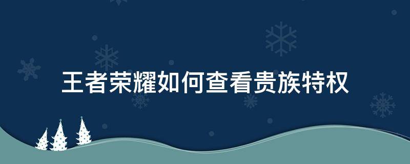 王者荣耀如何查看贵族特权（王者在哪里查看贵族）