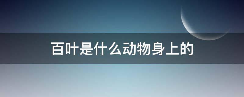 百叶是什么动物身上的（火锅百叶是什么动物身上的）