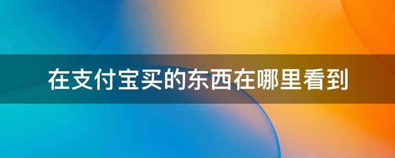 在支付宝买的东西在哪里看到（支付宝里面买东西在哪里看）