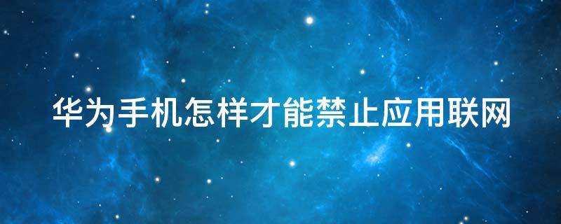 华为手机怎样才能禁止应用联网（华为手机怎样才能禁止应用联网功能）