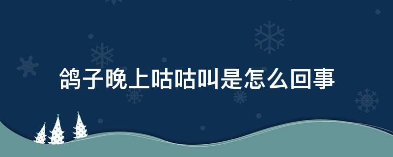 鸽子晚上咕咕叫是怎么回事（鸽子早晚咕咕叫）