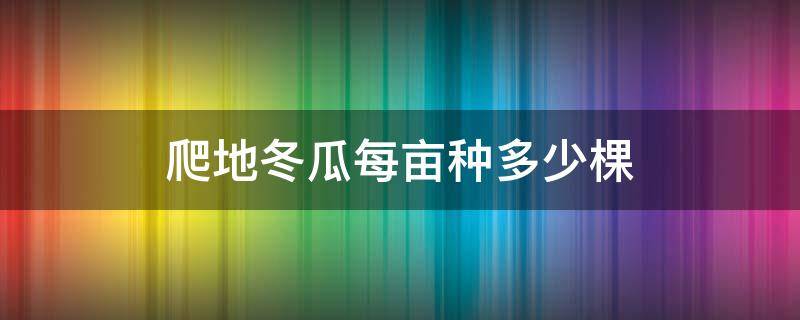 爬地冬瓜每亩种多少棵 爬地冬瓜亩产量