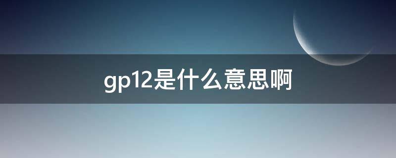 gp12是什么意思啊 gp10是什么意思