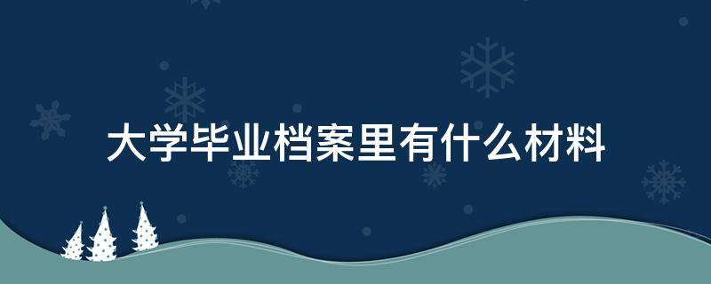 大学毕业档案里有什么材料（大学毕业档案有什么资料）