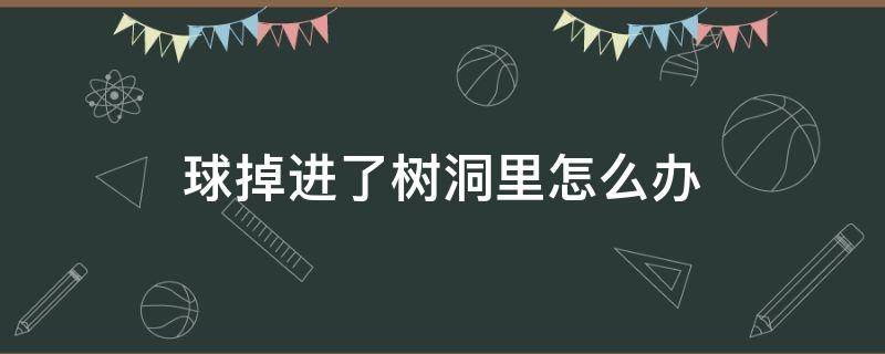 球掉进了树洞里怎么办（球掉进树洞里你会怎么办）