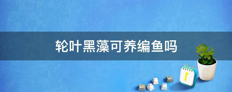 轮叶黑藻可养编鱼吗 怎么种轮叶黑藻