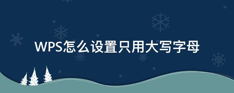 WPS怎么设置只用大写字母（如何设置wps英文字母不自动大写）