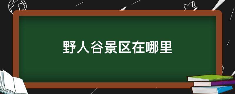 野人谷景区在哪里（野人谷景区在哪里防城港）