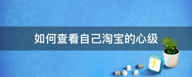 如何查看自己淘宝的心级 淘宝怎么看自己的心级