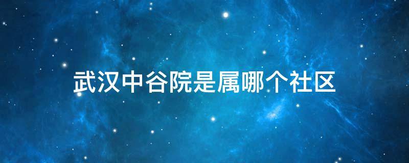 武汉中谷院是属哪个社区（武汉中谷苑属于哪个区）