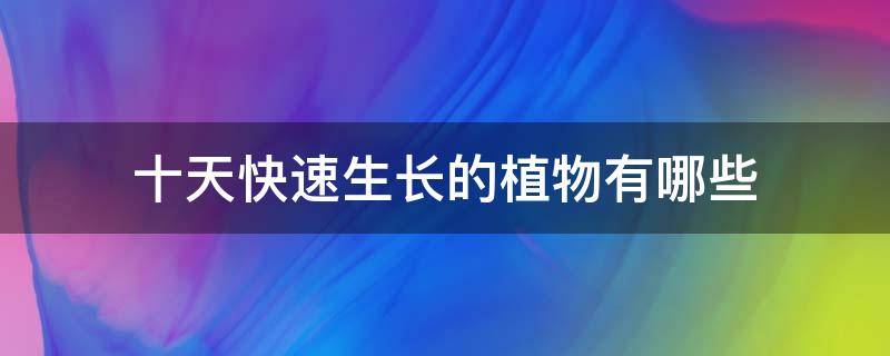 十天快速生长的植物有哪些 10天长得最快的植物