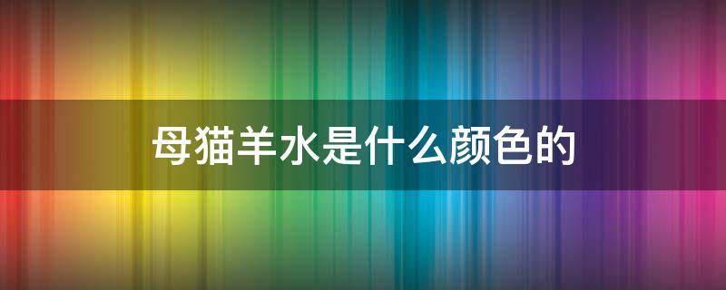 母猫羊水是什么颜色的 母猫羊水是什么颜色的图片