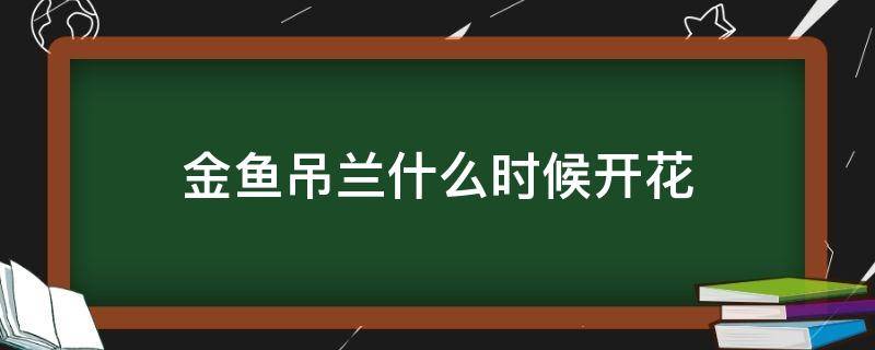 金鱼吊兰什么时候开花 金鱼吊兰什么时候开花视频