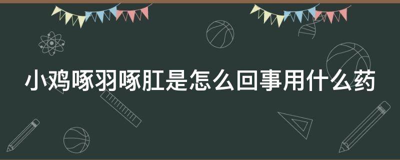 小鸡啄羽啄肛是怎么回事用什么药 小鸡啄羽啄肛是怎么回事?用什么药