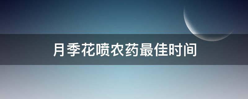 月季花喷农药最佳时间（月季花喷什么农药最好）