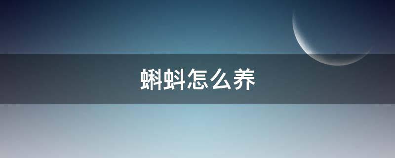 蝌蚪怎么养（长腿的蝌蚪怎么养）