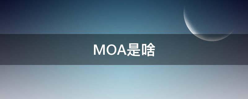 MOA是啥 MOA是啥牌子