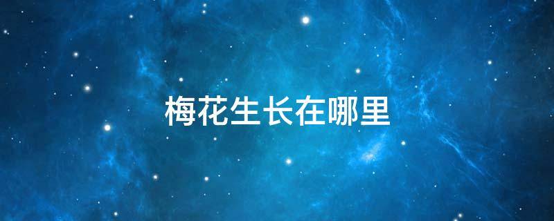 梅花生长在哪里（梅花生长在哪里它什么时候开花它为什么这个时候开花）