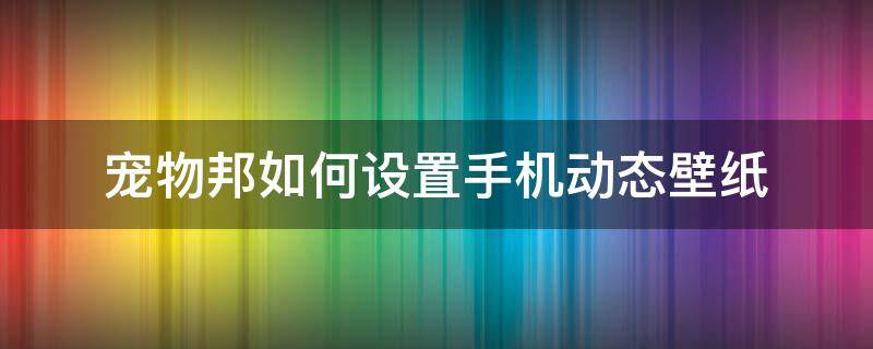 宠物邦如何设置手机动态壁纸（宠物屏保壁纸）