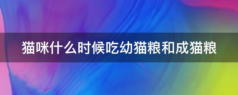 猫咪什么时候吃幼猫粮和成猫粮 猫咪什么时候吃幼猫粮和成猫粮最好