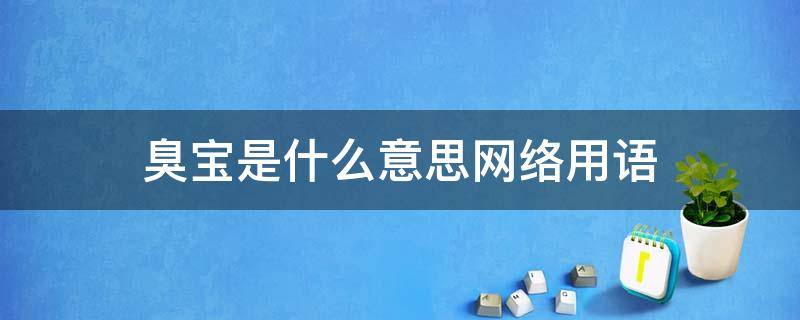 臭宝是什么意思网络用语（网络流行语臭宝是什么意思）