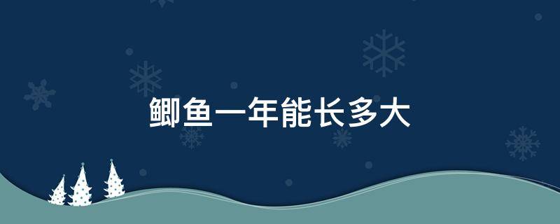 鲫鱼一年能长多大 野生鲫鱼一年能长多大