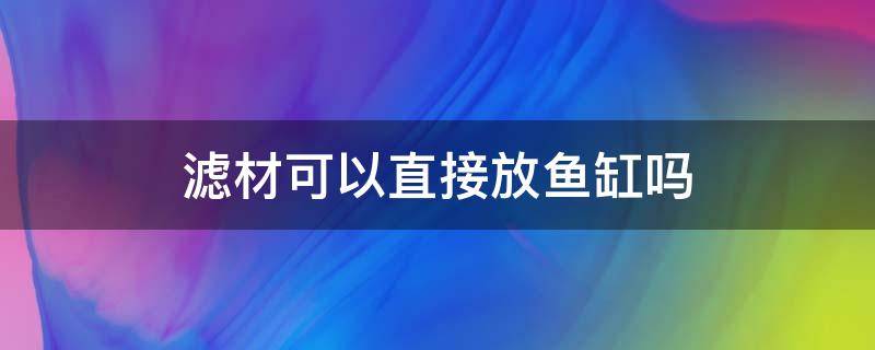 滤材可以直接放鱼缸吗 可以直接放鱼缸里的滤材