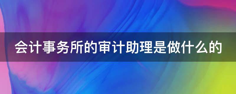 会计事务所的审计助理是做什么的（会计事务所的审计助理是做什么的啊）