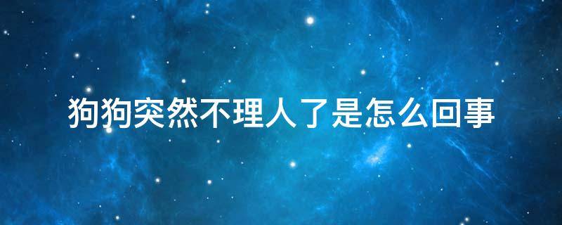 狗狗突然不理人了是怎么回事 小狗不理人是怎么回事