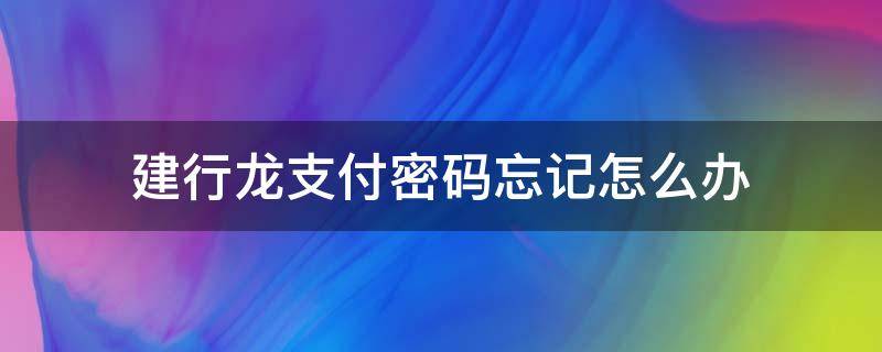 建行龙支付密码忘记怎么办 建行龙支付初始密码