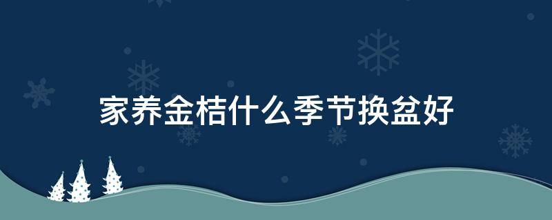 家养金桔什么季节换盆好 金桔什么时候换盆最好