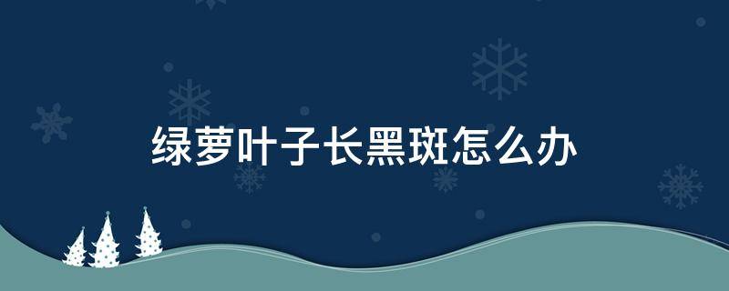 绿萝叶子长黑斑怎么办（绿萝叶子有黑斑怎么办）