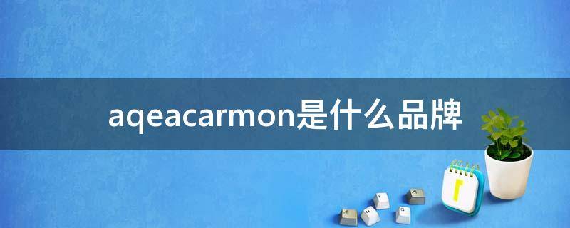 aqeacarmon是什么品牌 aqeacarmon品牌贵不贵
