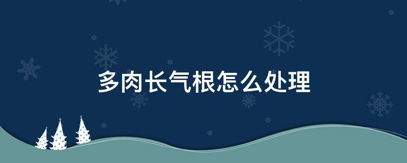 多肉长气根怎么处理 多肉长气根怎么回事