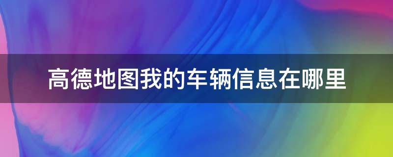 高德地图我的车辆信息在哪里（高德地图怎么查看我的车在哪里）