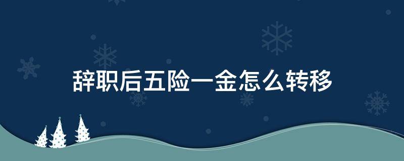 辞职后五险一金怎么转移（辞职后五险一金怎么转移到同单位省内的）