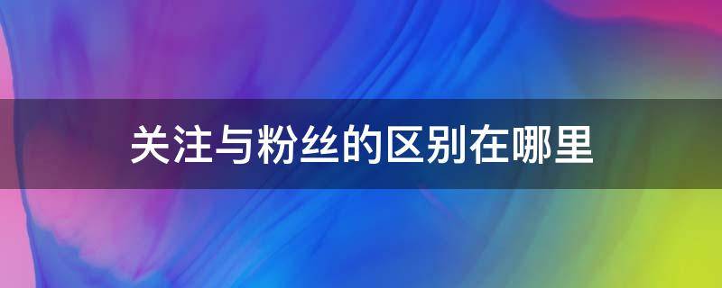 关注与粉丝的区别在哪里 粉丝和关注区别在哪