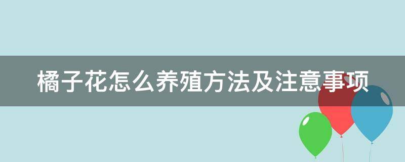 橘子花怎么养殖方法及注意事项 橘子花怎么养殖方法及注意事项用什么肥料