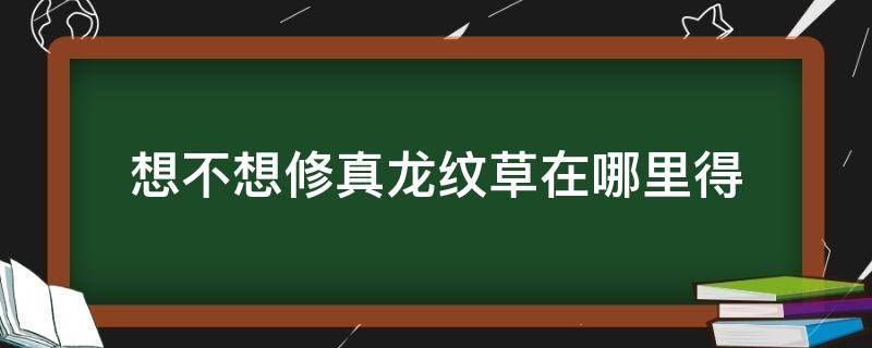 想不想修真龙纹草在哪里得 想不想修真龙灵草有啥用