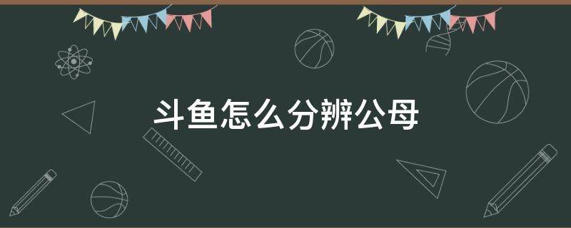 斗鱼怎么分辨公母（中国叉尾斗鱼怎么分辨公母）