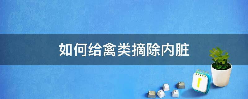 如何给禽类摘除内脏 家禽内脏初加工方法