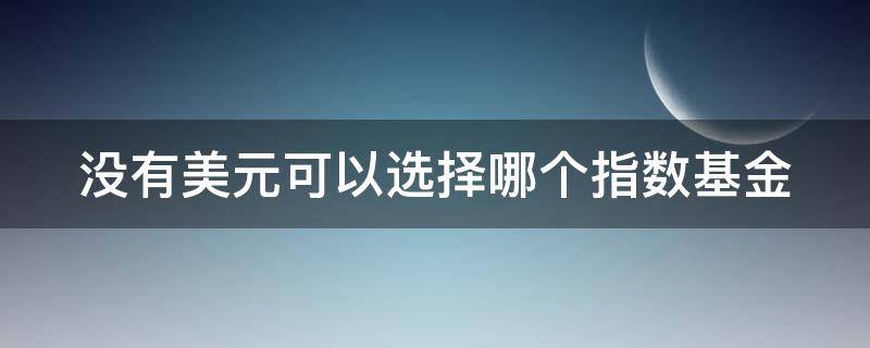 没有美元可以选择哪个指数基金（没有美元可以选择哪个指数基金交易）