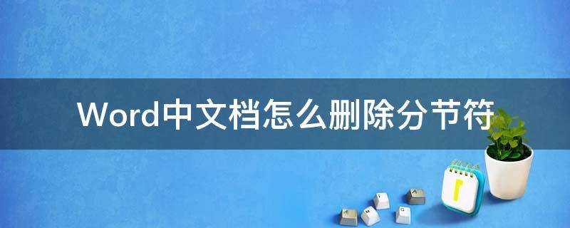 Word中文档怎么删除分节符（怎么删除word文档里的分节符）