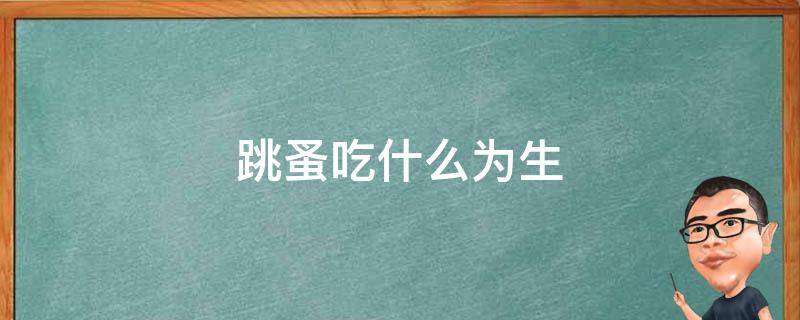 跳蚤吃什么为生 跳蚤吃什么?