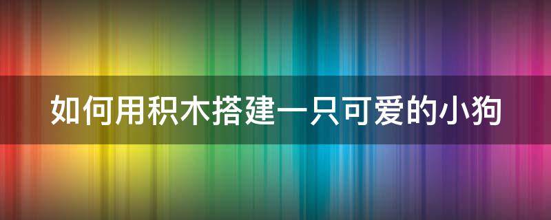 如何用积木搭建一只可爱的小狗（如何用积木搭建一只可爱的小狗呢）