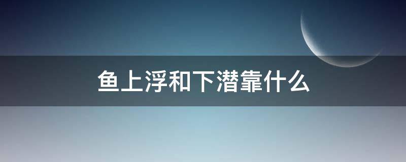 鱼上浮和下潜靠什么（鱼上浮下沉靠什么）