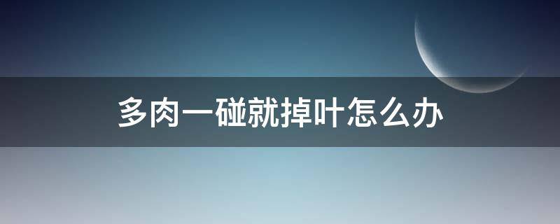 多肉一碰就掉叶怎么办（多肉一碰就掉叶子怎么办）