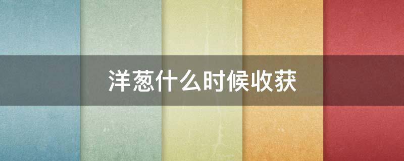 洋葱什么时候收获（洋葱什么时候收获最好）